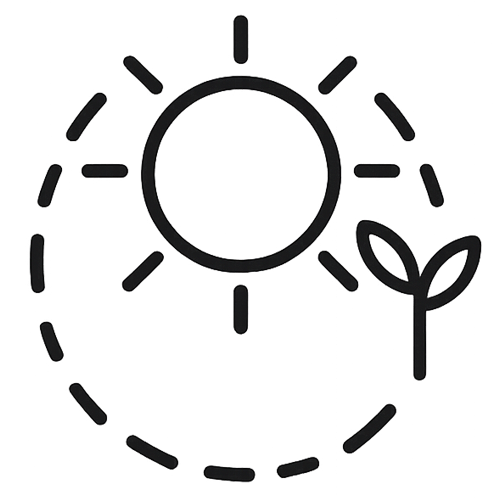 Symbol einer Sonne mit einer Pflanze