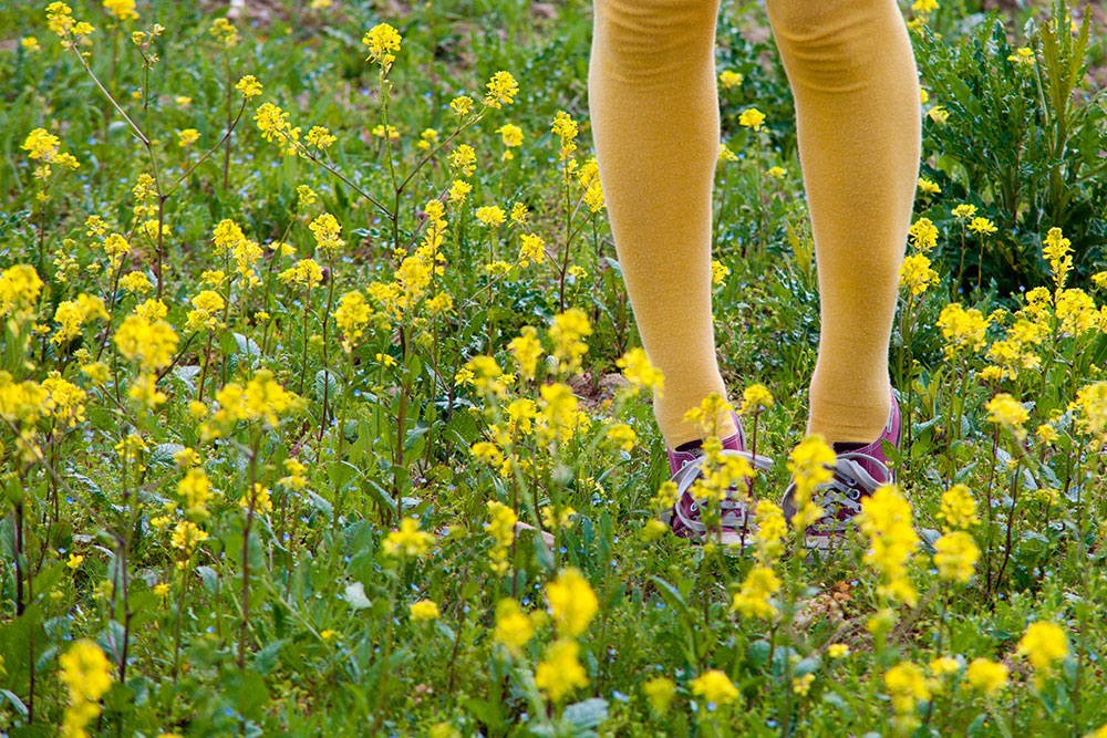 Beine einer Person mit gelben Strumpfhosen und Turnschuhen stehen in einer Wiese mit gelben Blüten.